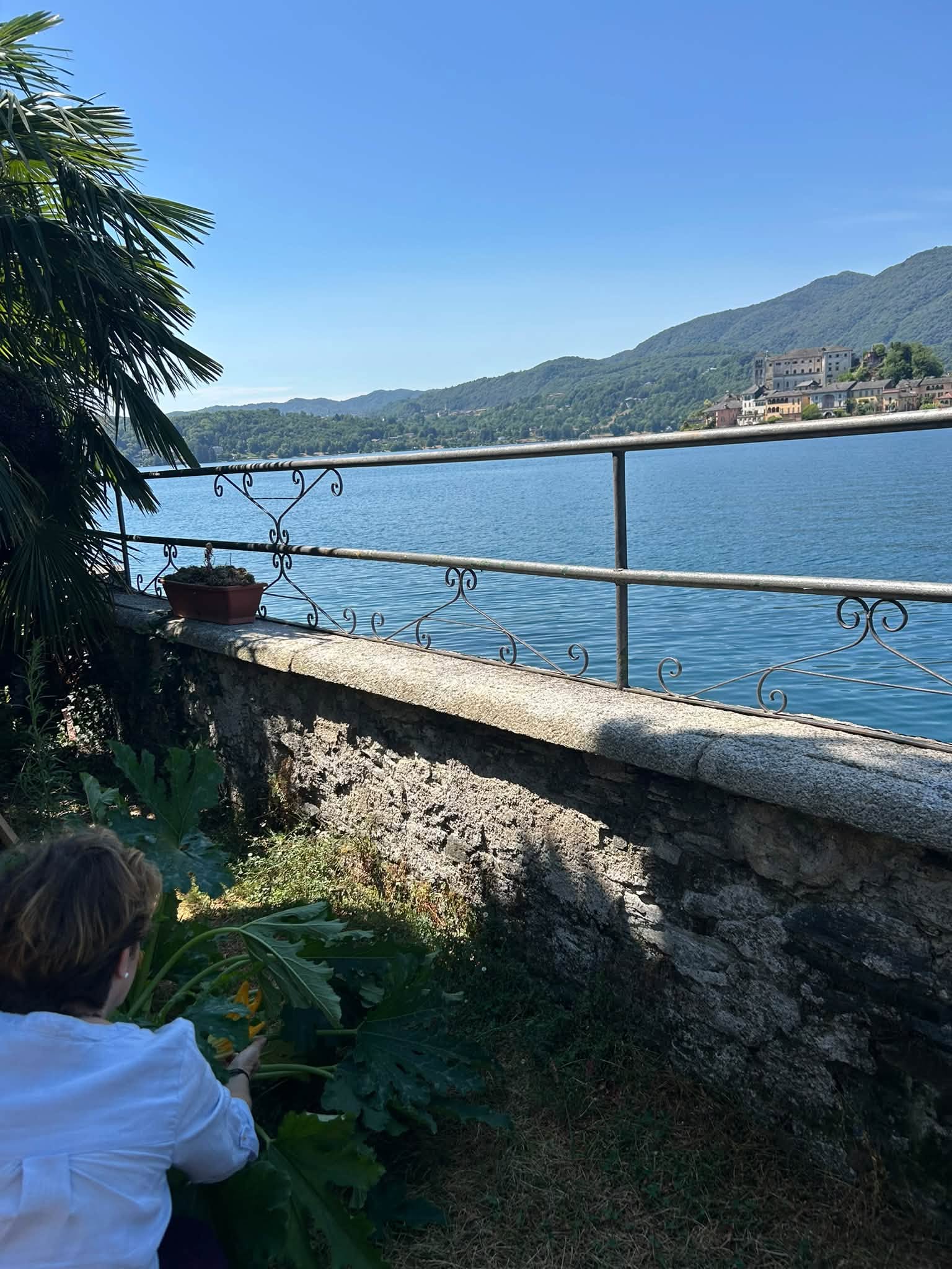 Il lago d’Orta con la ringhiera in ferro, una palma e le colline sullo sfondo